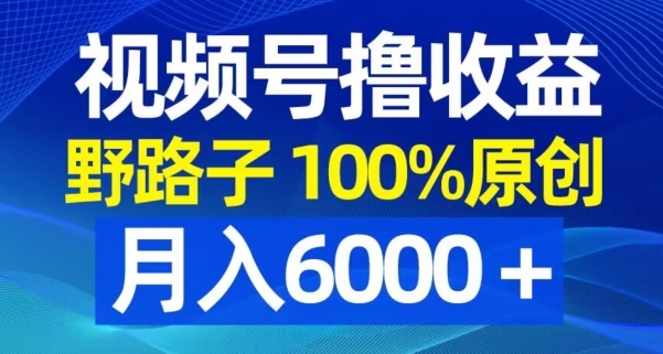 视频号野路子撸收益，100%原创，条条爆款，月入6000＋【揭秘】-52资源库