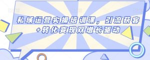 私域运营实操培训课,引流获客+转化变现双增长驱动-52资源库