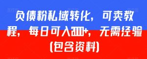 负债粉私域转化,可卖教程,每日可入2000+,无需经验(包含资料)【揭秘】-52资源库