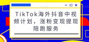 TikTok海外抖音中视频计划,涨粉变现提现陪跑服务-52资源库