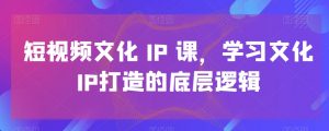 短视频文化IP课,学习文化IP打造的底层逻辑-52资源库