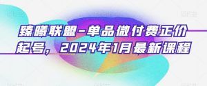 臻曦联盟-单品微付费正价起号,2024年1月最新课程-52资源库