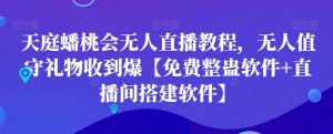 天庭蟠桃会无人直播教程,无人值守礼物收到爆【免费整蛊软件+直播间搭建软件】-52资源库