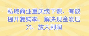 私域商业重庆线下课,有效提升复购率,解决现金流压力,放大利润-52资源库