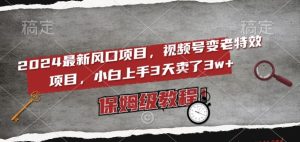 2024最新风口项目,视频号变老特效项目,电脑小白上手3天卖了3w+,保姆级教程【揭秘】-52资源库