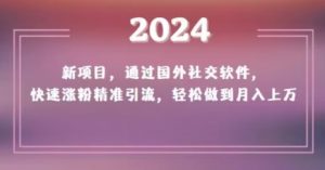 2024新项目,通过国外社交软件,快速涨粉精准引流,轻松做到月入上万【揭秘】-52资源库