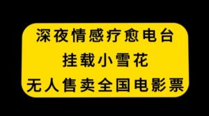 深夜情感疗愈电台,挂载小雪花,无人售卖全国电影票【揭秘】-52资源库