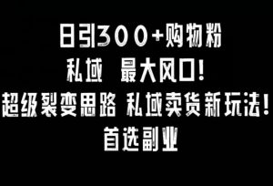 日引300+购物粉,超级裂变思路,私域卖货新玩法,小红书首选副业【揭秘】-52资源库