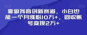 靠做抖音创新赛道,小白也能一个月涨粉10万+,回收账号变现2万+【揭秘】-52资源库