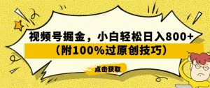 视频号掘金,小白轻松日入800+(附100%过原创技巧)【揭秘】-52资源库