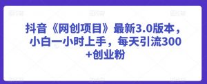 抖音《网创项目》最新3.0版本,小白一小时上手,每天引流300+创业粉【揭秘】-52资源库