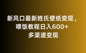 新风口最新姓氏壁纸变现,喂饭教程日入600+【揭秘】-52资源库