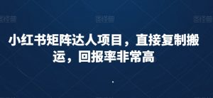 小红书矩阵达人项目,直接复制搬运,回报率非常高-52资源库