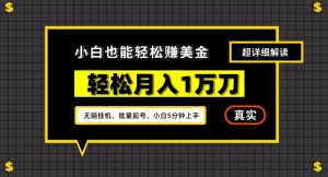 谷歌看广告撸美金2.0,无脑挂机,多号操作,月入1万刀【揭秘】-52资源库