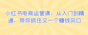 小红书电商运营课,从入门到精通,带你抓住又一个赚钱风口-52资源库