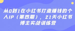 从0到1在小红书打造赚钱的个人IP(第四期),21天小红书博主实战训练营-52资源库