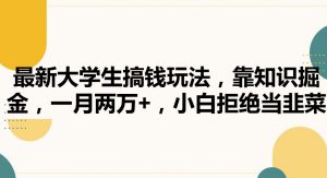 最新大学生搞钱玩法,靠知识掘金,一月两万+,小白拒绝当韭菜【揭秘】-52资源库