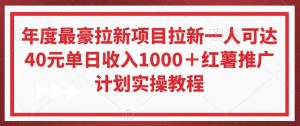 年度最豪拉新项目拉新一人可达40元单日收入1000+红薯推广计划实操教程【揭秘】-52资源库