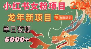 小红书女粉头像项目,单日变现5000+,适合在家做的副业,长期稳定【揭秘】-52资源库