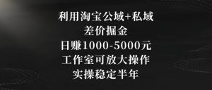 利用淘宝公域+私域差价掘金,日赚1000-5000元,工作室可放大操作,实操稳定半年【揭秘】-52资源库