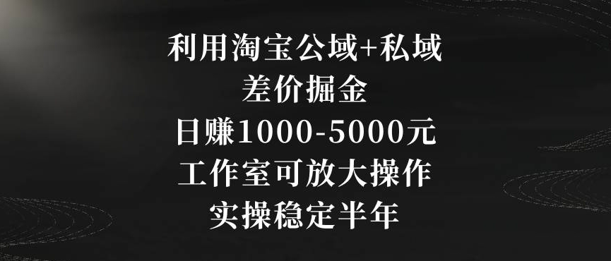 利用淘宝公域+私域差价掘金，日赚1000-5000元，工作室可放大操作，实操稳定半年【揭秘】-52资源库