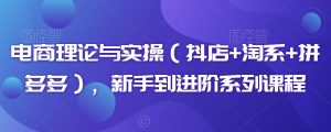 电商理论与实操(抖店+淘系+拼多多),新手到进阶系列课程-52资源库