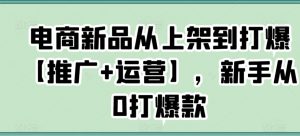 电商新品从上架到打爆【推广+运营】,新手从0打爆款-52资源库