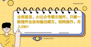 全网首发,AI公众号爆文插件,只需一款插件全自动输出爆文,矩阵操作,月入3W+【揭秘】-52资源库