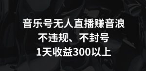音乐号无人直播赚音浪,不违规、不封号,1天收益300+【揭秘】-52资源库