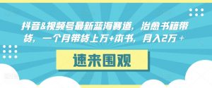 抖音&视频号最新蓝海赛道,治愈书籍带货,一个月带货上万+本书,月入2万+【揭秘】-52资源库