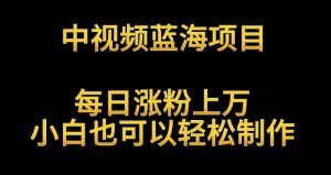 中视频蓝海项目,解读英雄人物生平,每日涨粉上万,小白也可以轻松制作,月入过万不是梦【揭秘】-52资源库