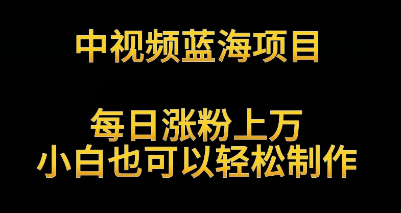 中视频蓝海项目，解读英雄人物生平，每日涨粉上万，小白也可以轻松制作，月入过万不是梦【揭秘】-52资源库