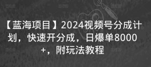 【蓝海项目】2024视频号分成计划,快速开分成,日爆单8000+,附玩法教程-52资源库