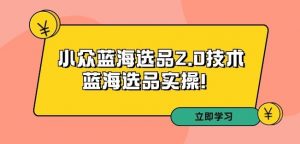拼多多培训第33期:小众蓝海选品2.0技术-蓝海选品实操!-52资源库
