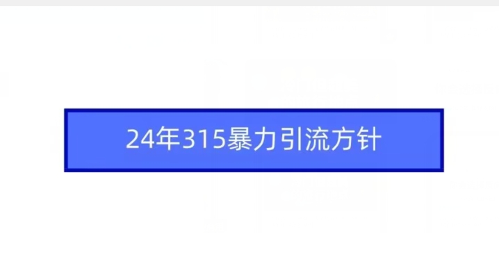24年315暴力引流方针-52资源库