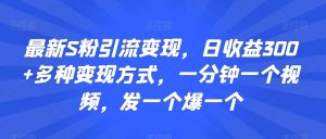 最新S粉引流变现,日收益300+多种变现方式,一分钟一个视频,发一个爆一个【揭秘】-52资源库