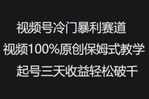 视频号冷门暴利赛道视频100%原创保姆式教学起号三天收益轻松破千-52资源库