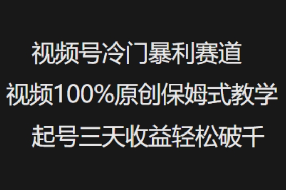 视频号冷门暴利赛道视频100%原创保姆式教学起号三天收益轻松破千-52资源库